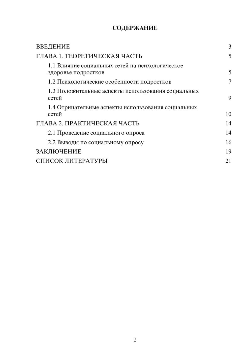 Предпросмотр проекта 2