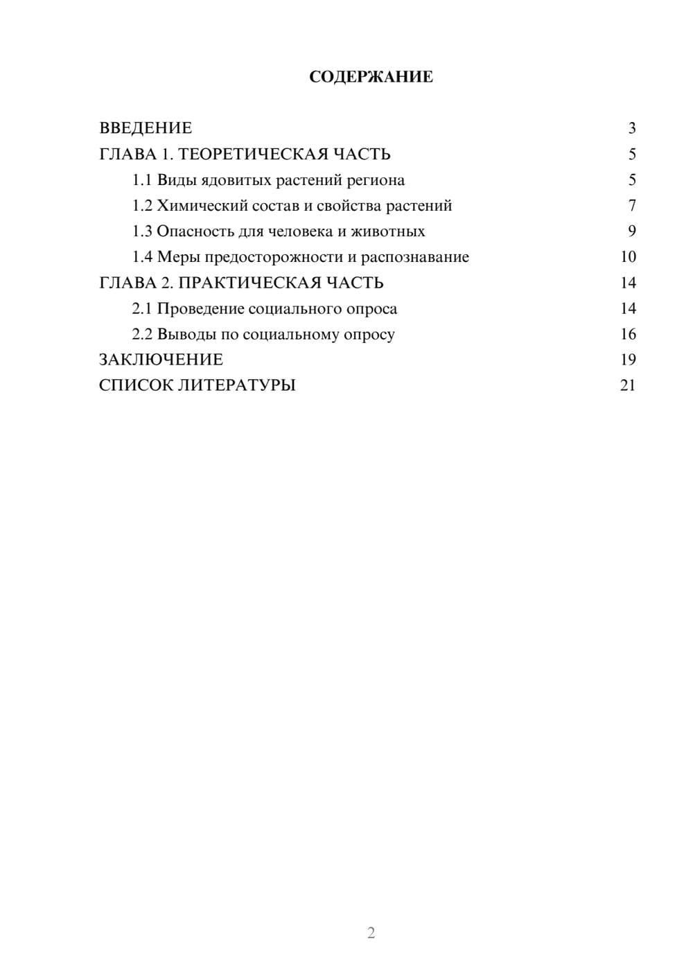 Предпросмотр проекта 2