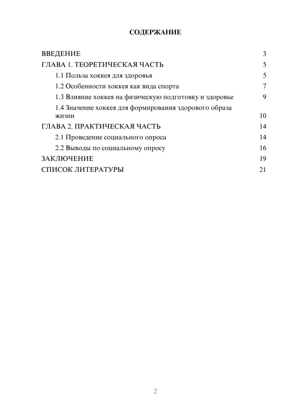 Предпросмотр проекта 2