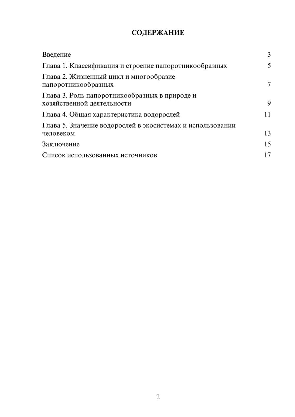 Предпросмотр реферата 2