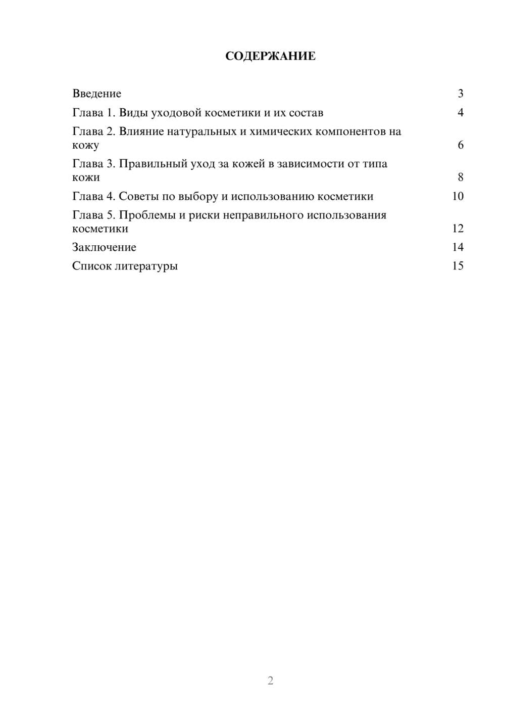 Предпросмотр доклада 2