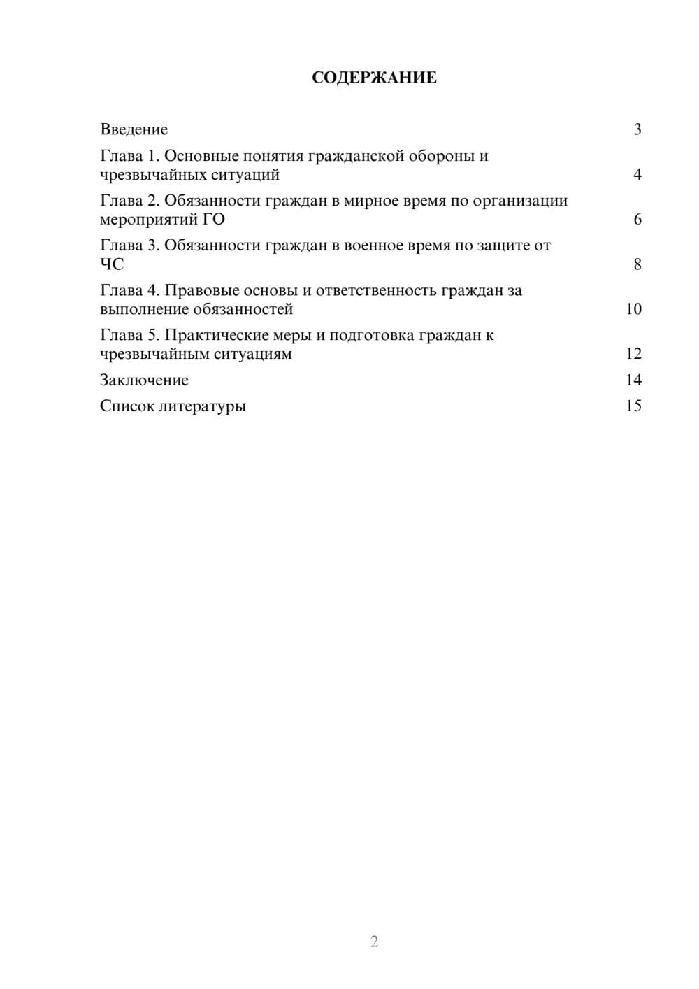 Предпросмотр доклада 2