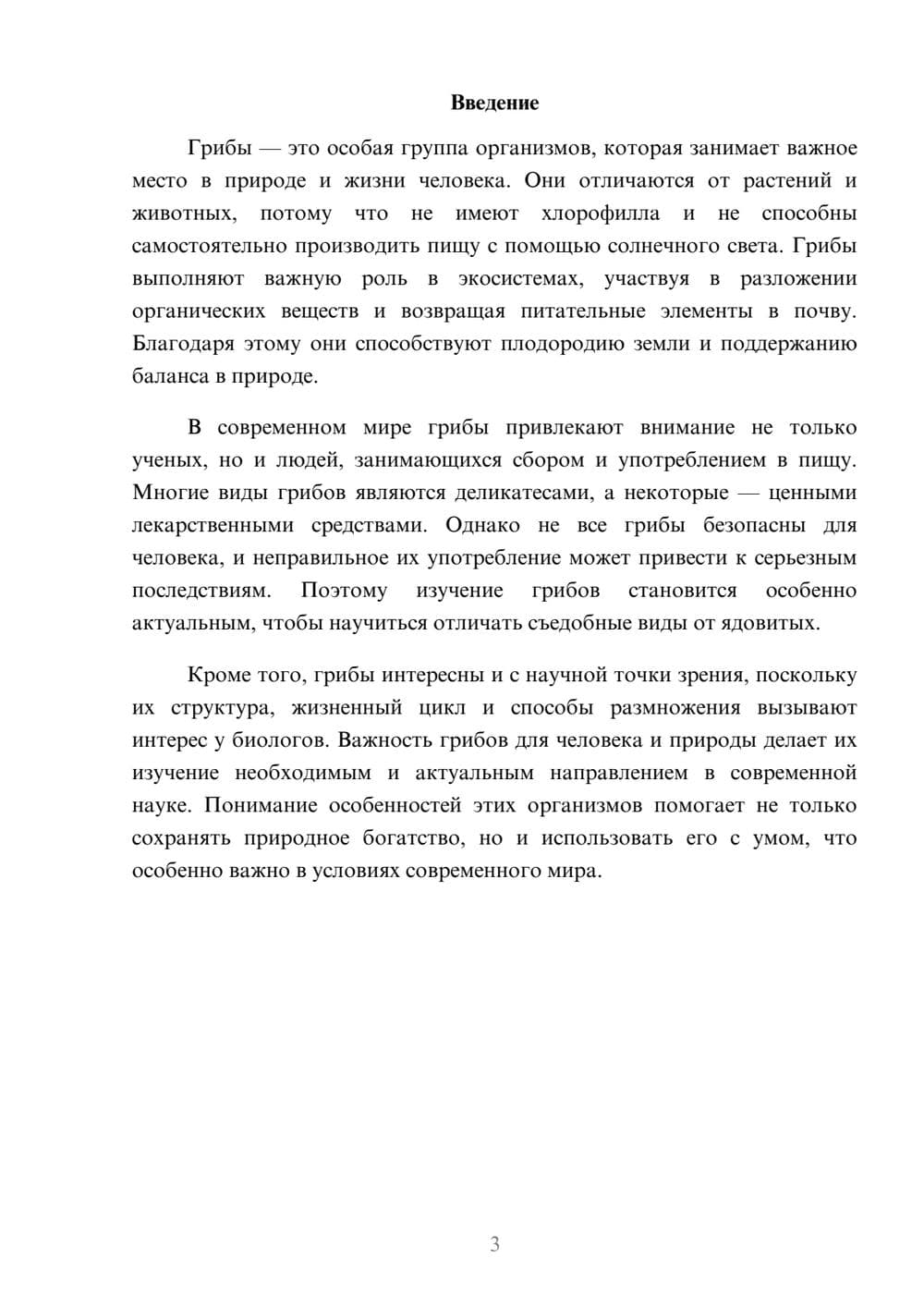 Предпросмотр доклада 3