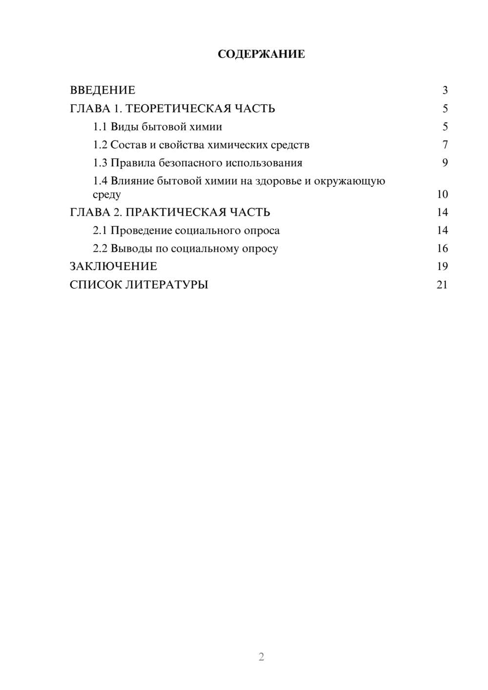 Предпросмотр проекта 2