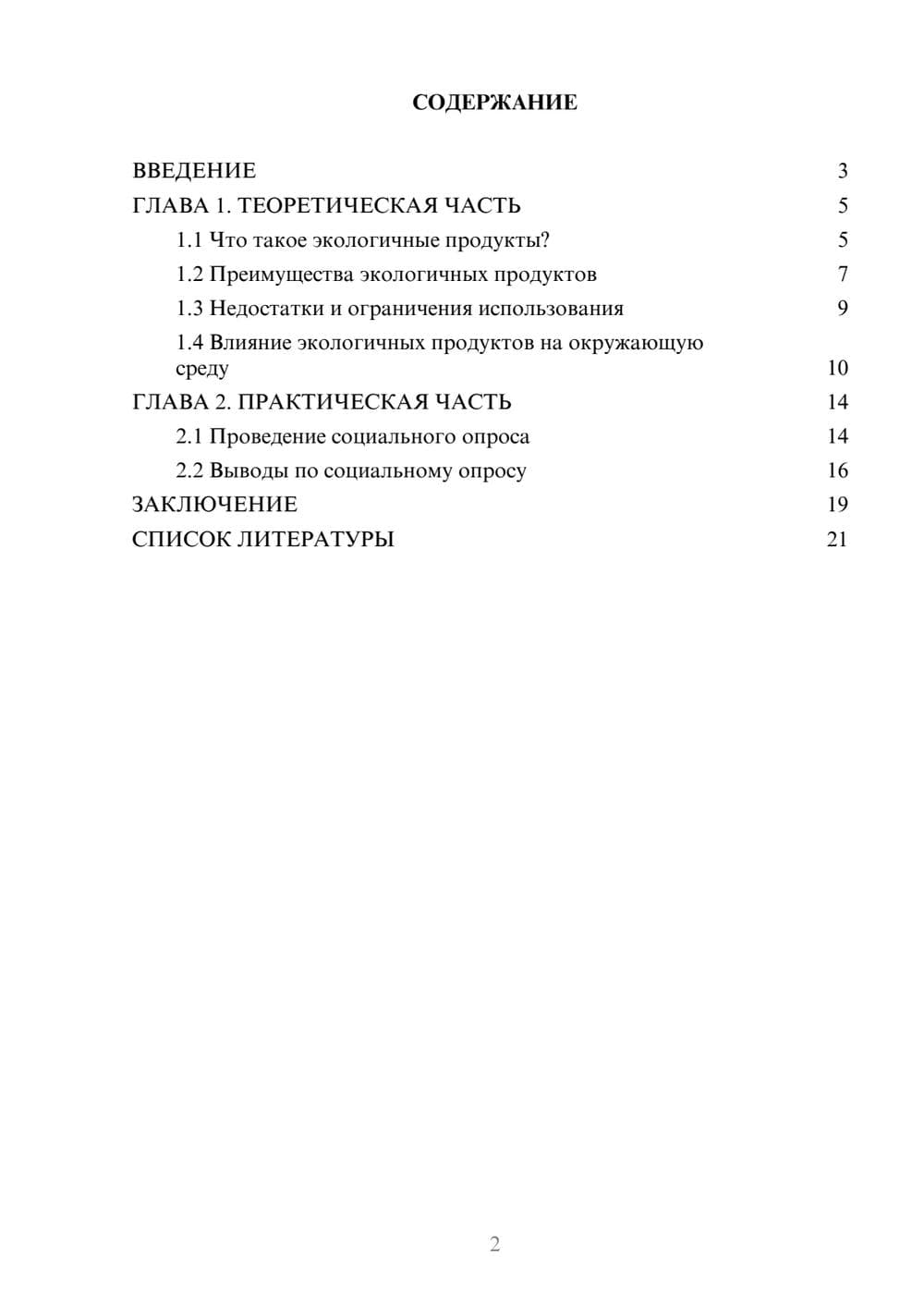 Предпросмотр проекта 2