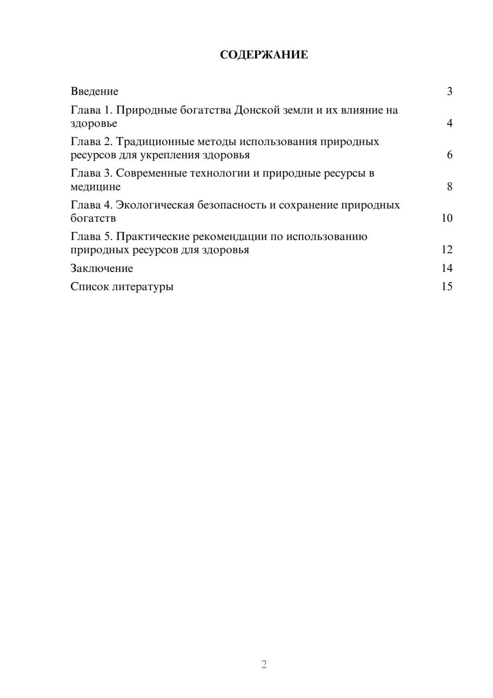 Предпросмотр доклада 2