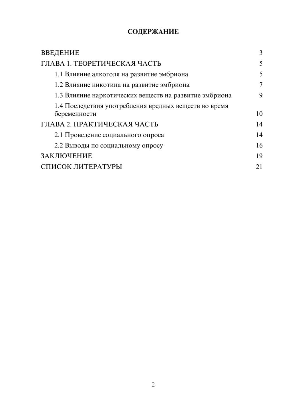 Предпросмотр проекта 2