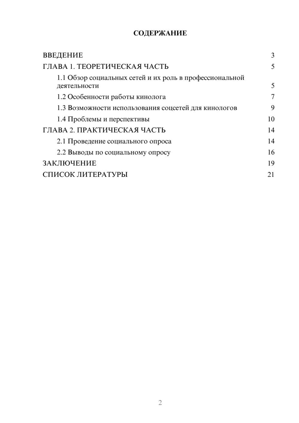 Предпросмотр проекта 2