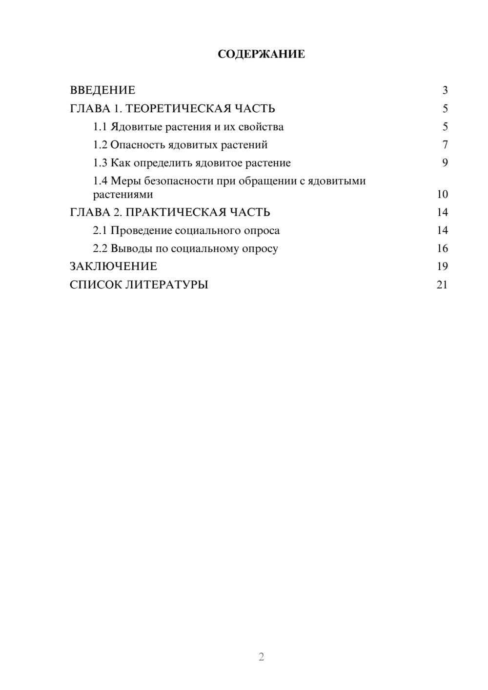 Предпросмотр проекта 2