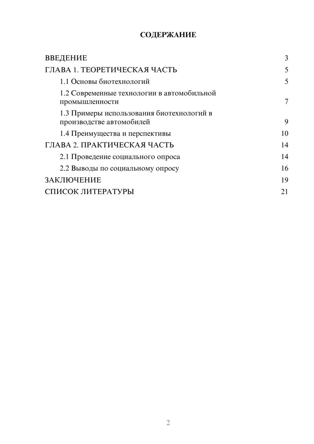 Предпросмотр проекта 2