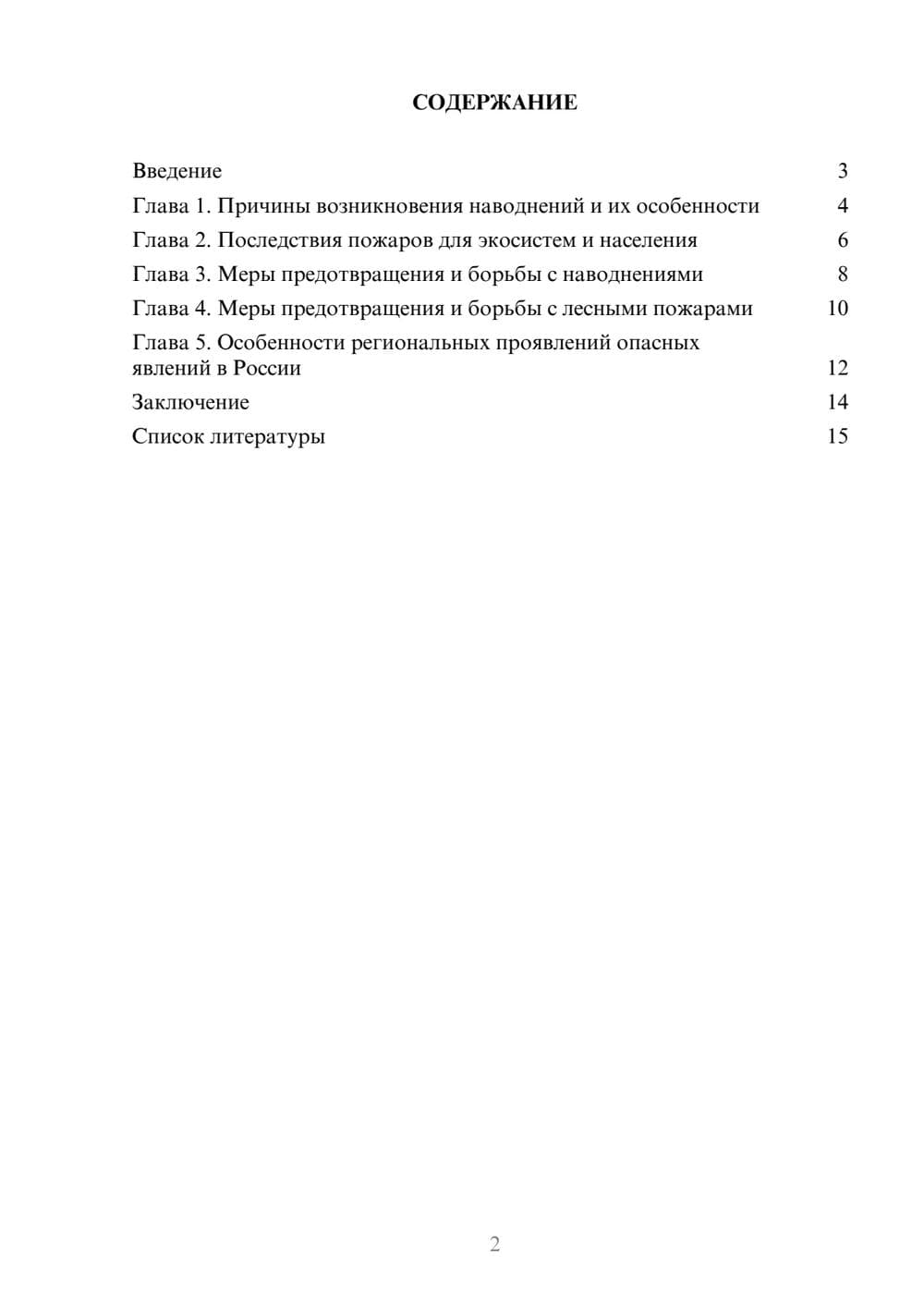 Предпросмотр доклада 2