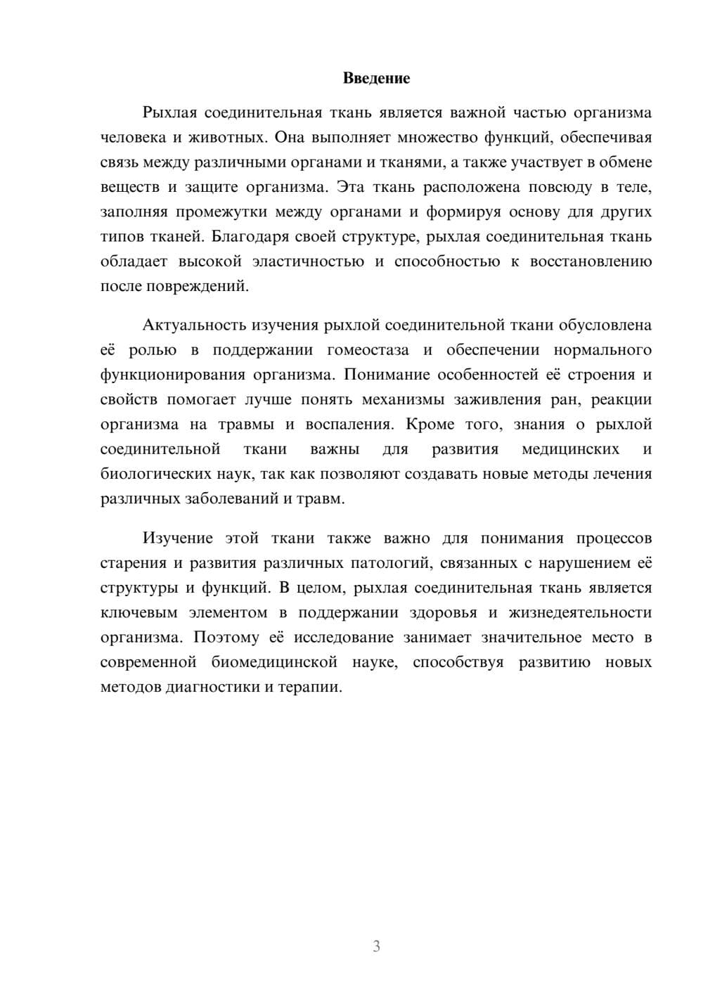 Предпросмотр доклада 3