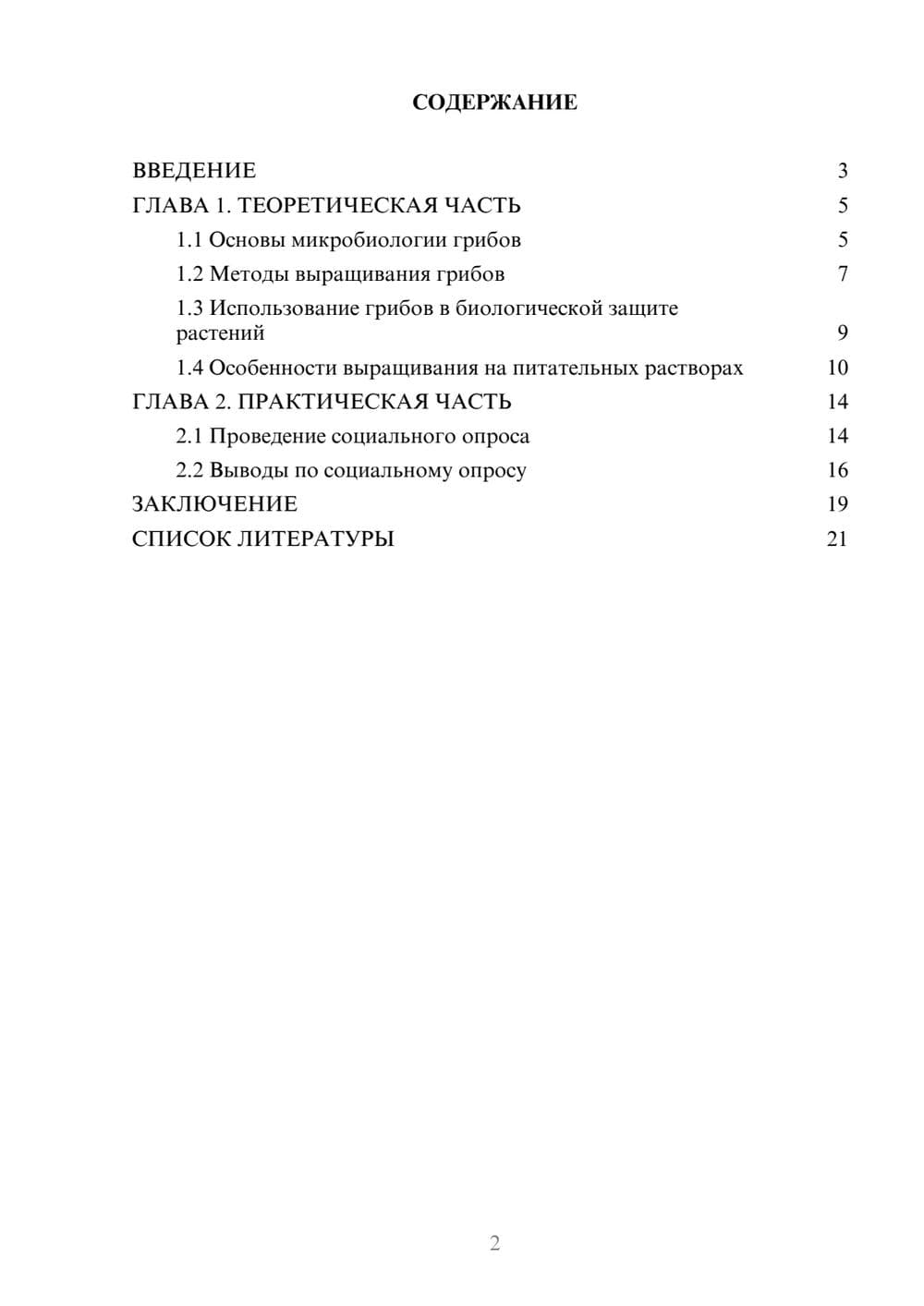 Предпросмотр проекта 2
