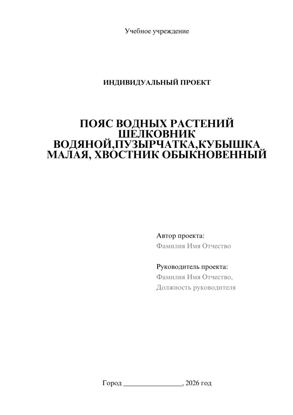 Предпросмотр проекта 1