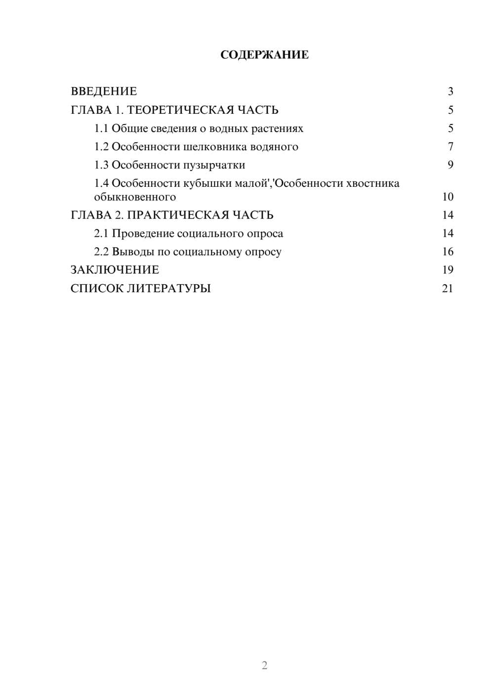 Предпросмотр проекта 2