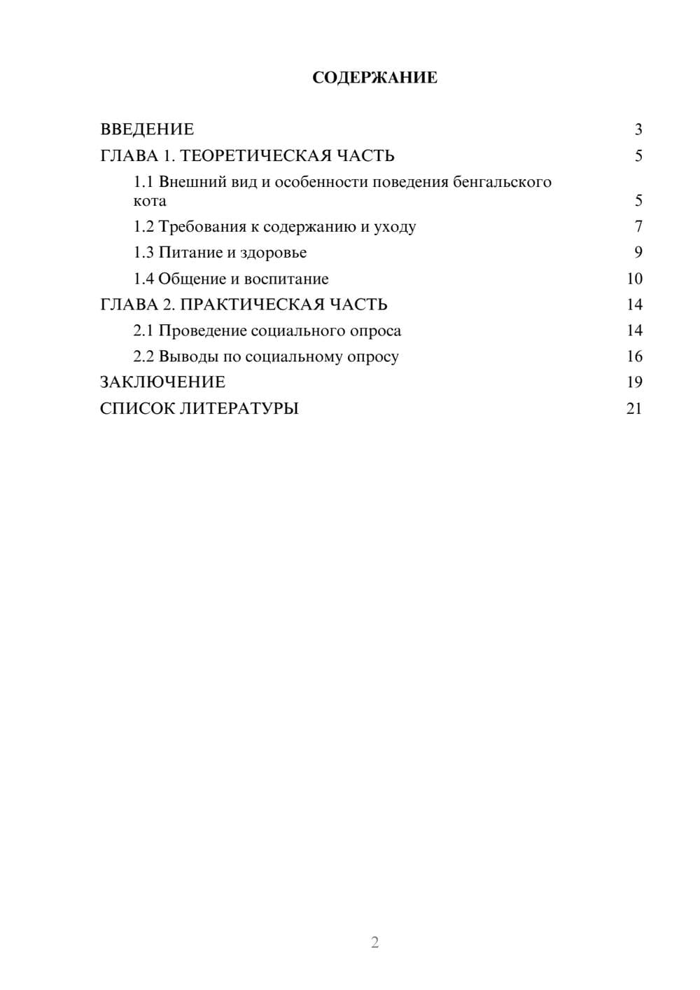 Предпросмотр проекта 2