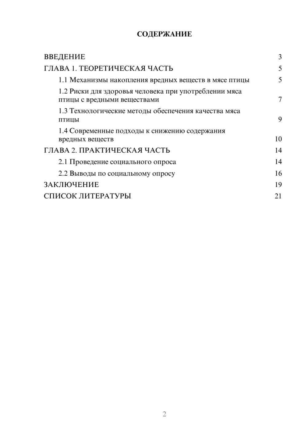 Предпросмотр проекта 2