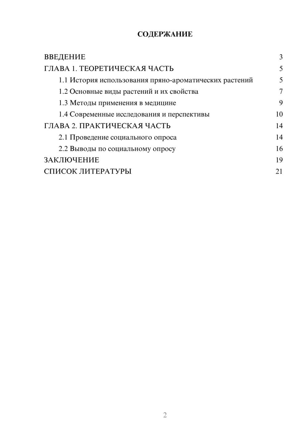 Предпросмотр проекта 2