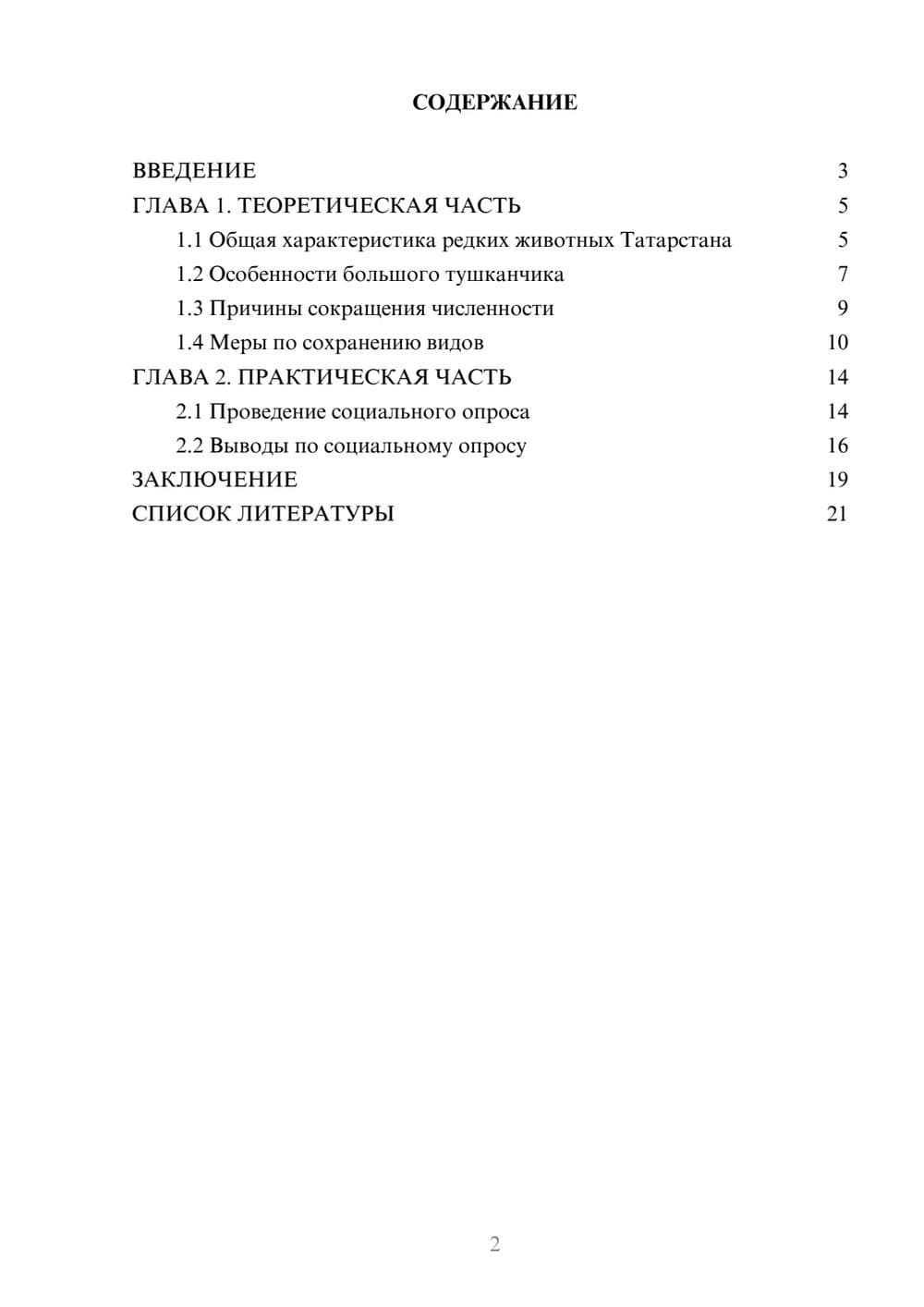 Предпросмотр проекта 2