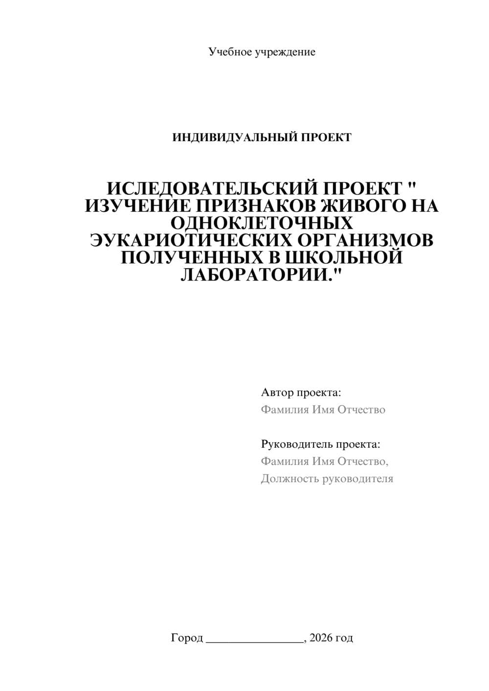 Предпросмотр проекта 1