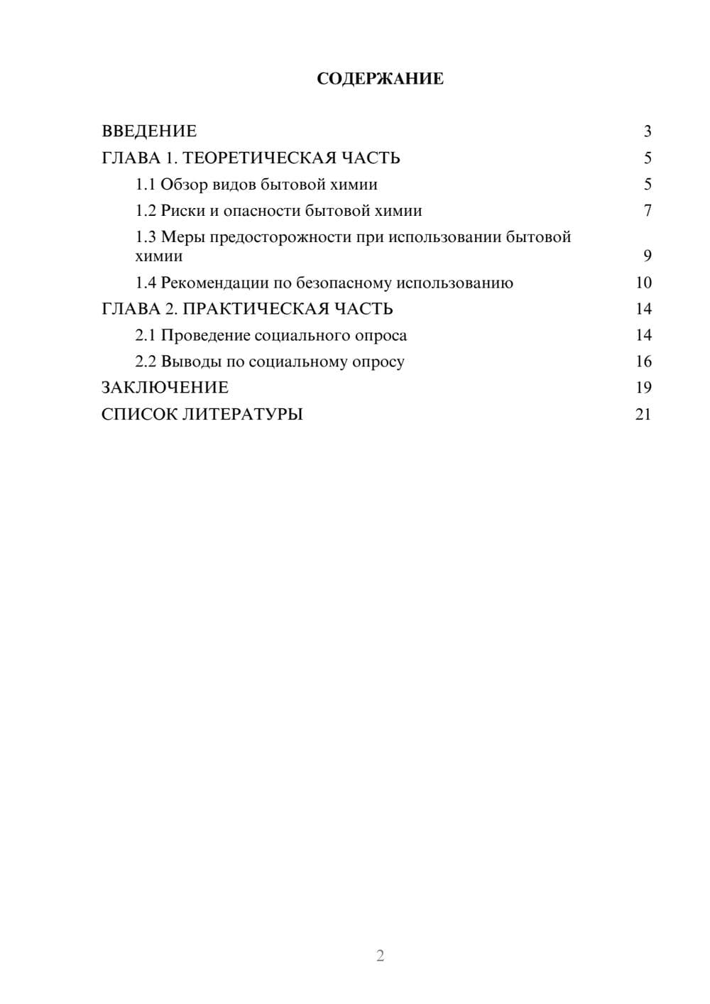 Предпросмотр проекта 2