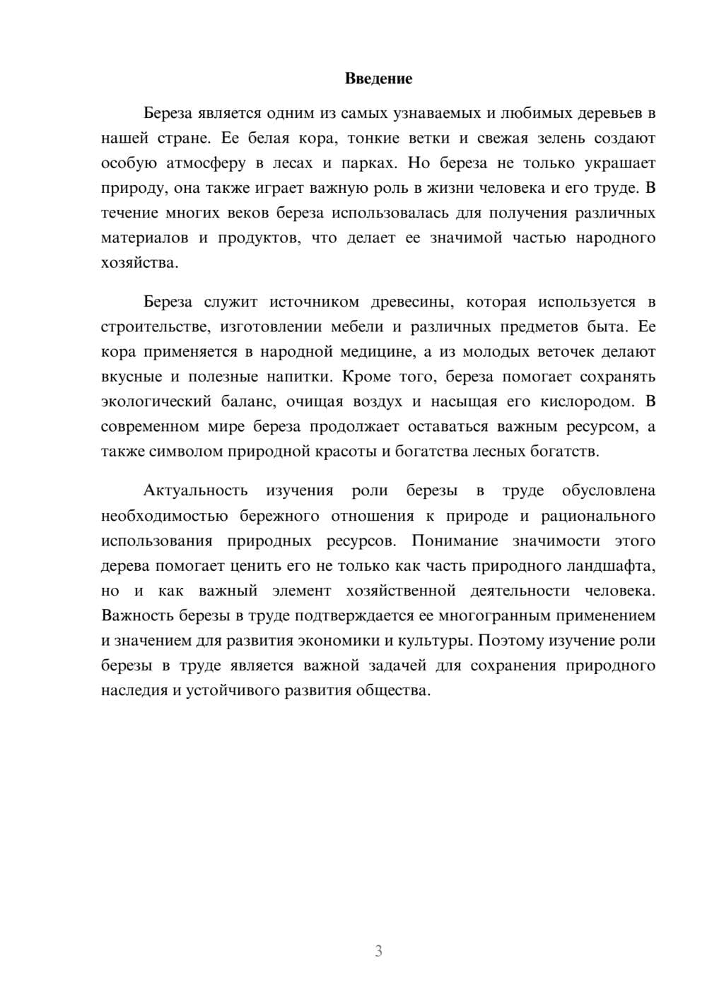 Предпросмотр доклада 3