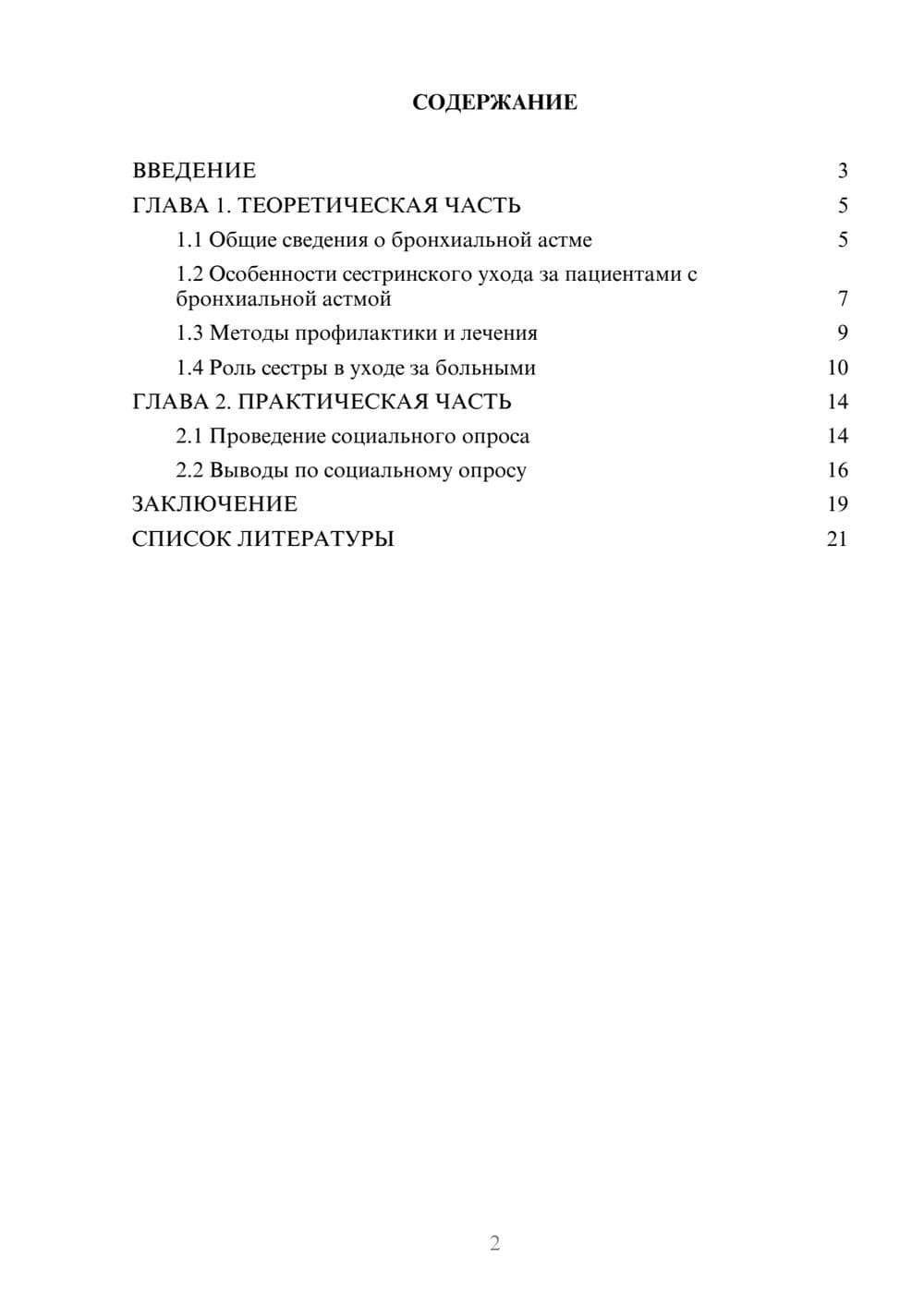 Предпросмотр проекта 2