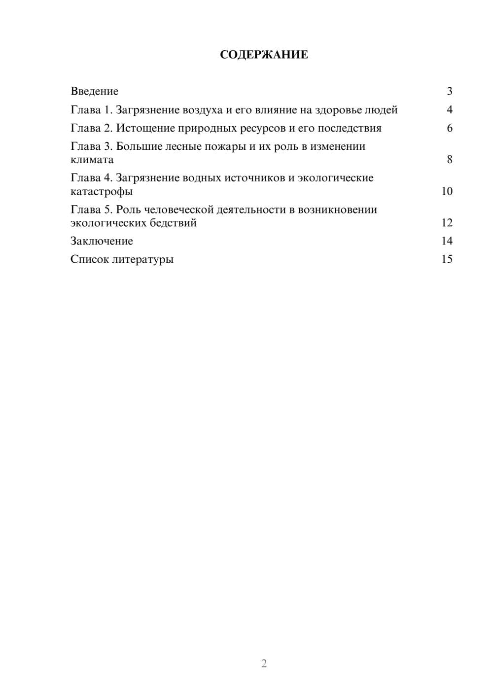 Предпросмотр доклада 2