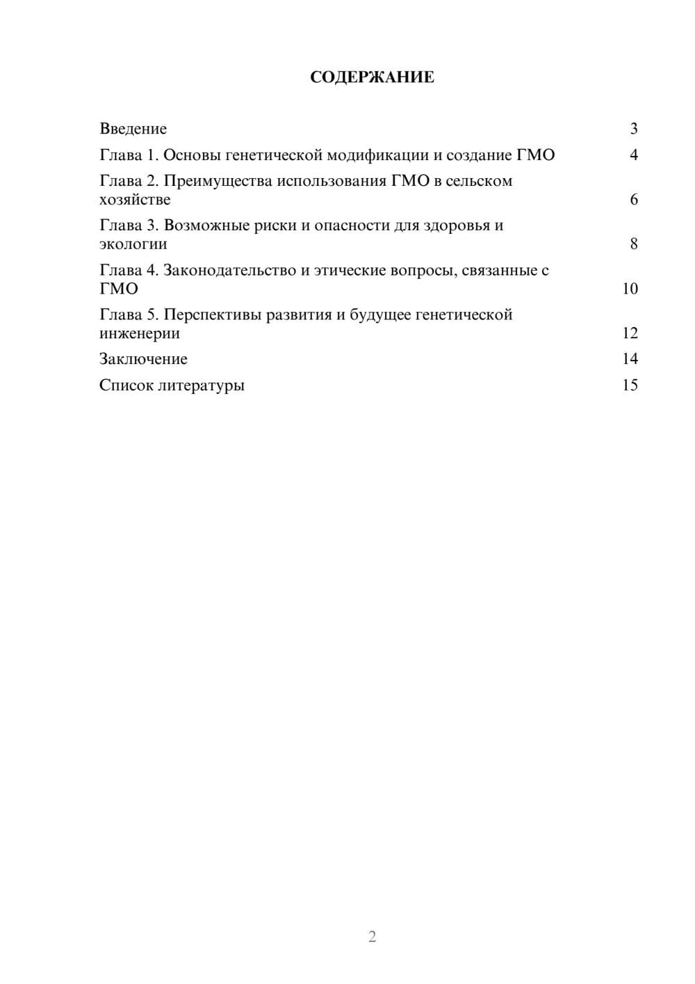 Предпросмотр доклада 2