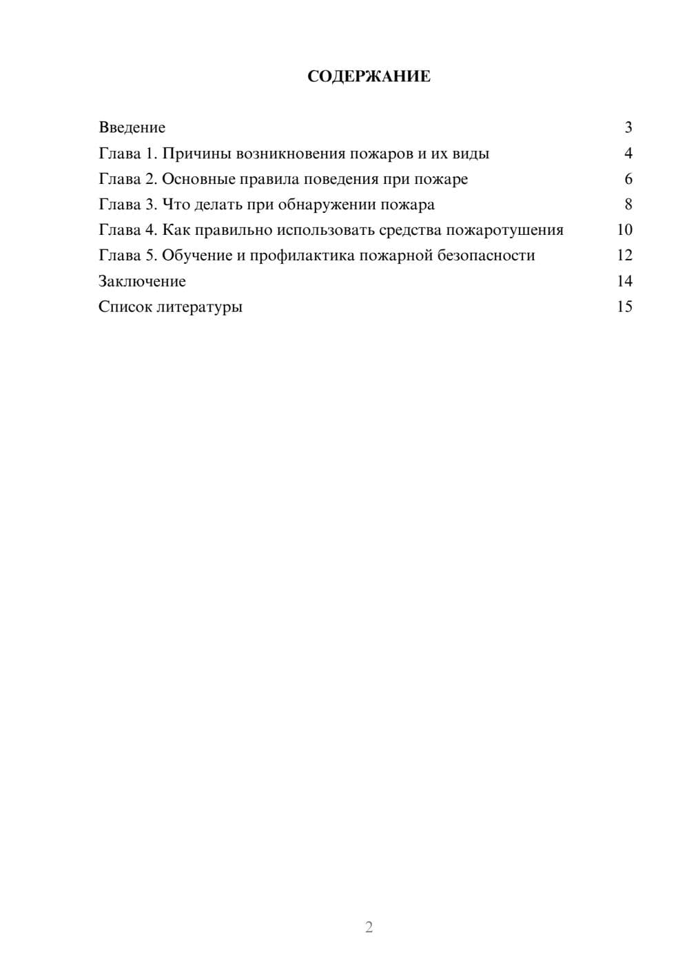 Предпросмотр доклада 2
