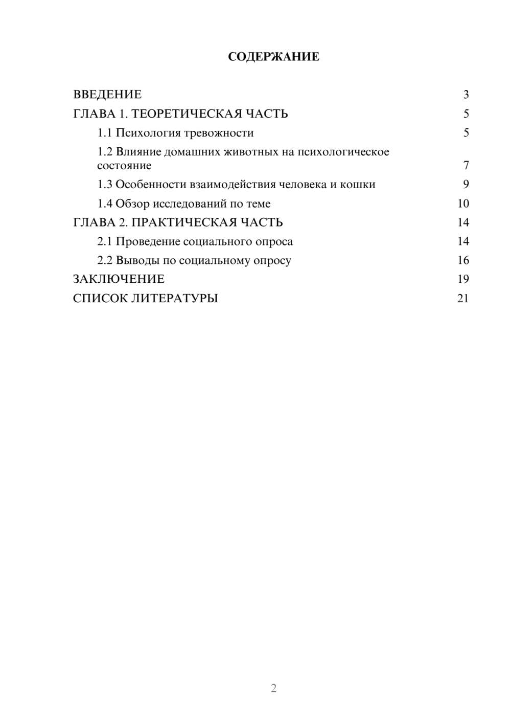 Предпросмотр проекта 2