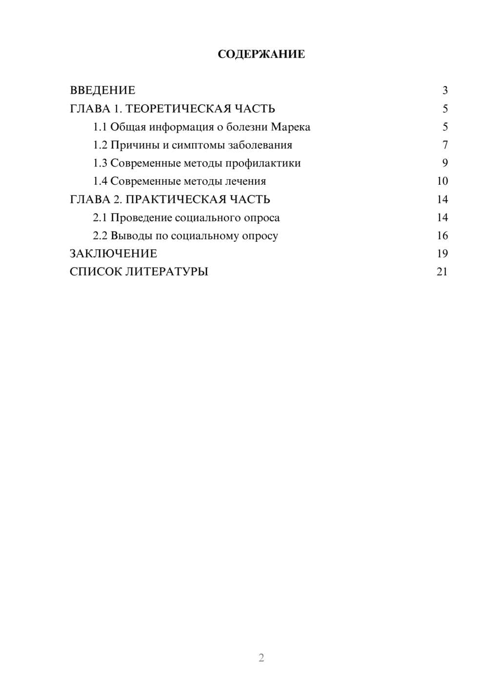 Предпросмотр проекта 2