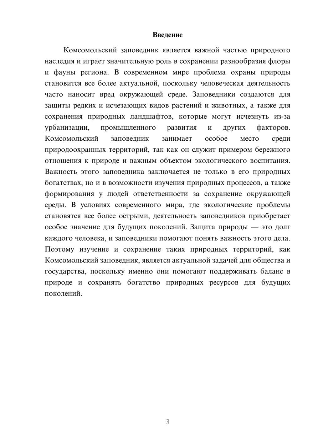 Предпросмотр доклада 3