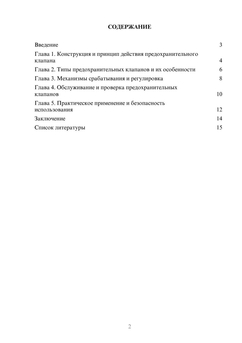 Предпросмотр доклада 2