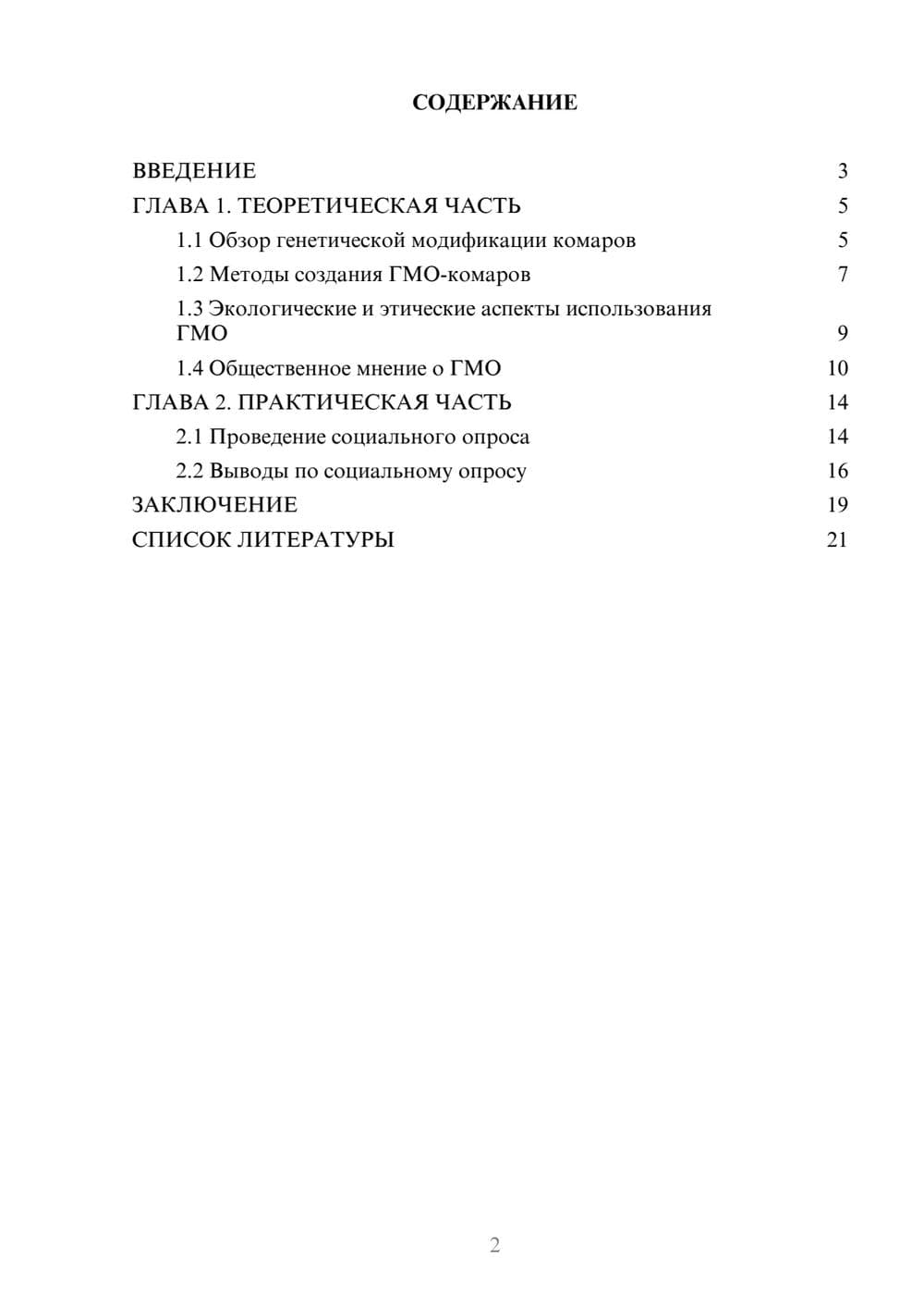 Предпросмотр проекта 2