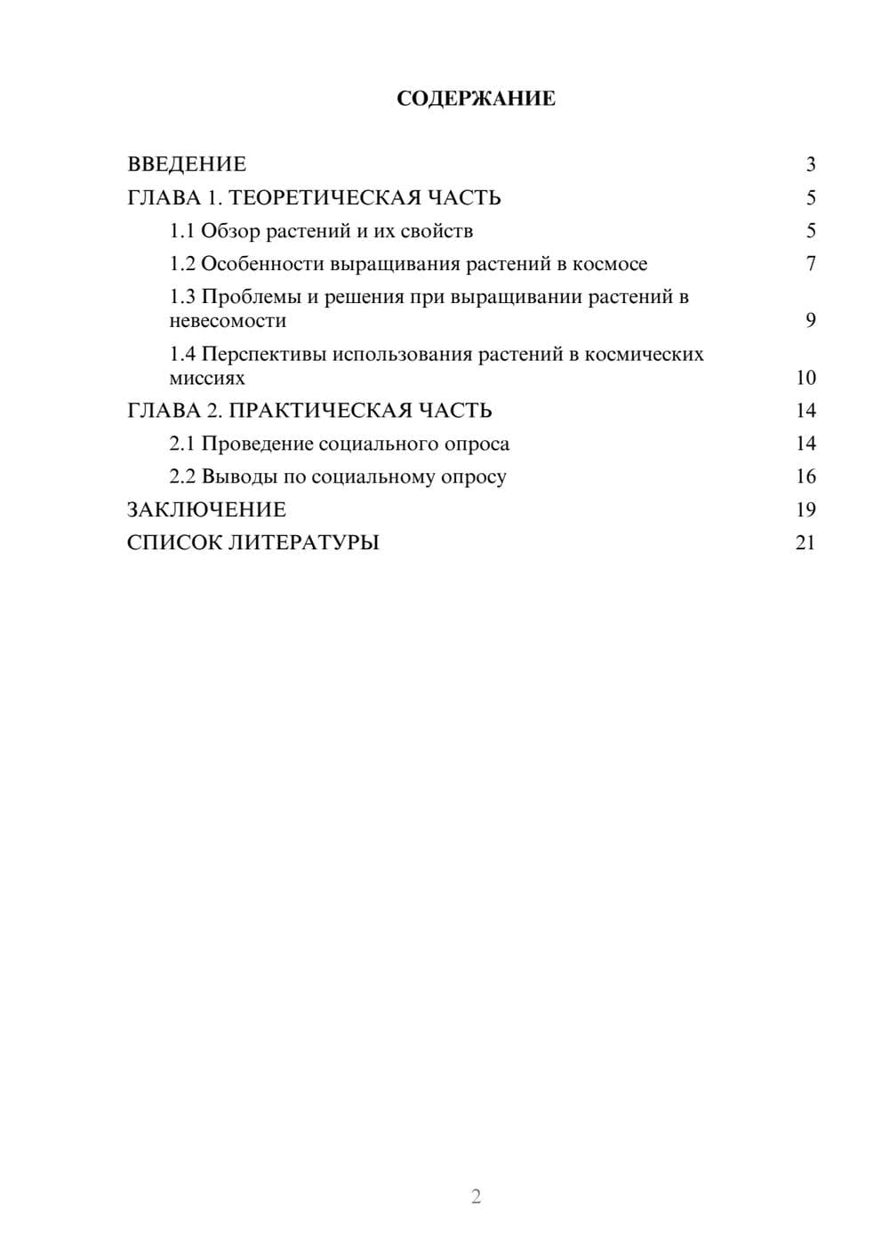 Предпросмотр проекта 2
