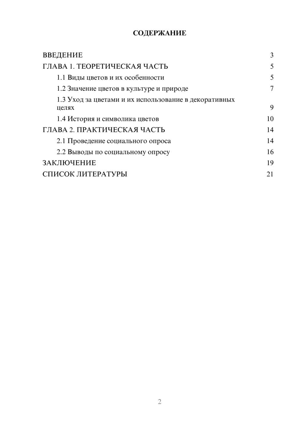 Предпросмотр проекта 2