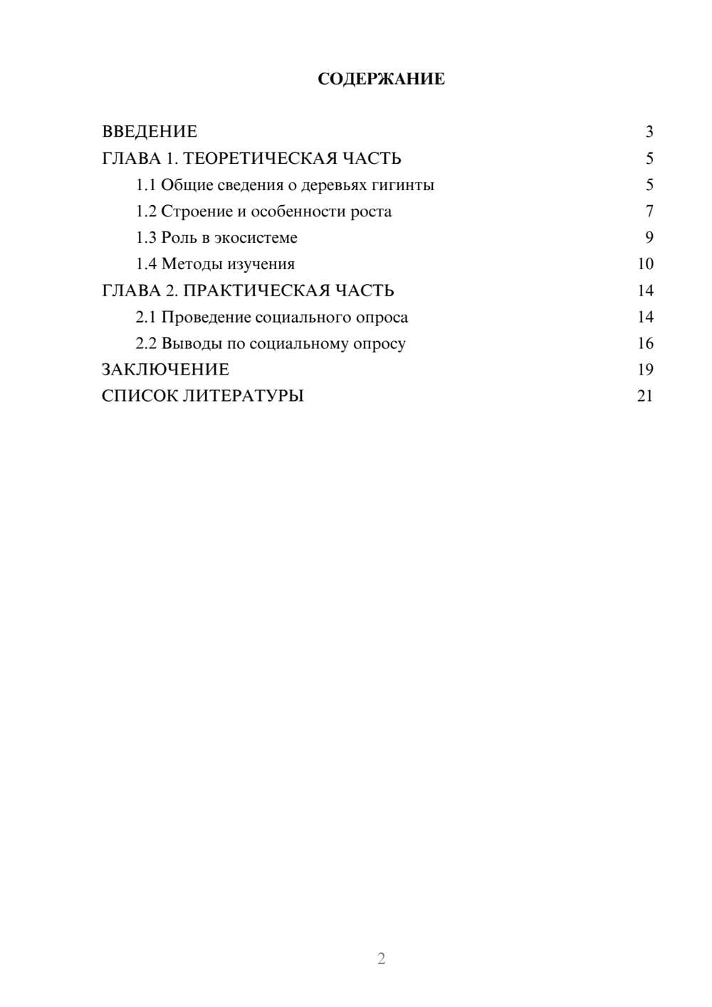 Предпросмотр проекта 2