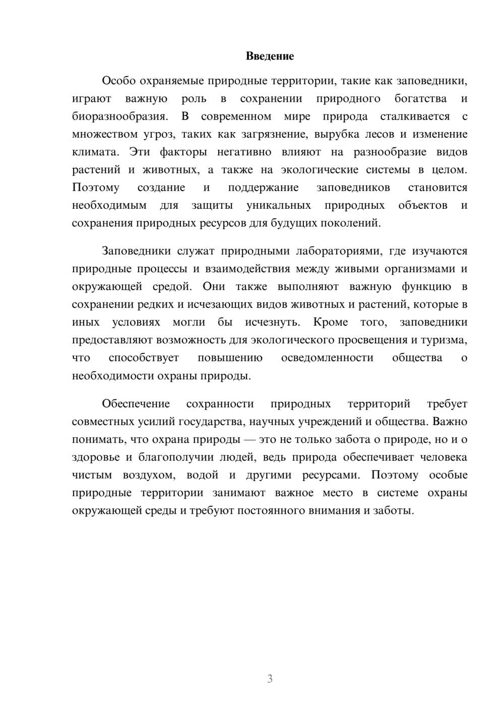 Предпросмотр доклада 3