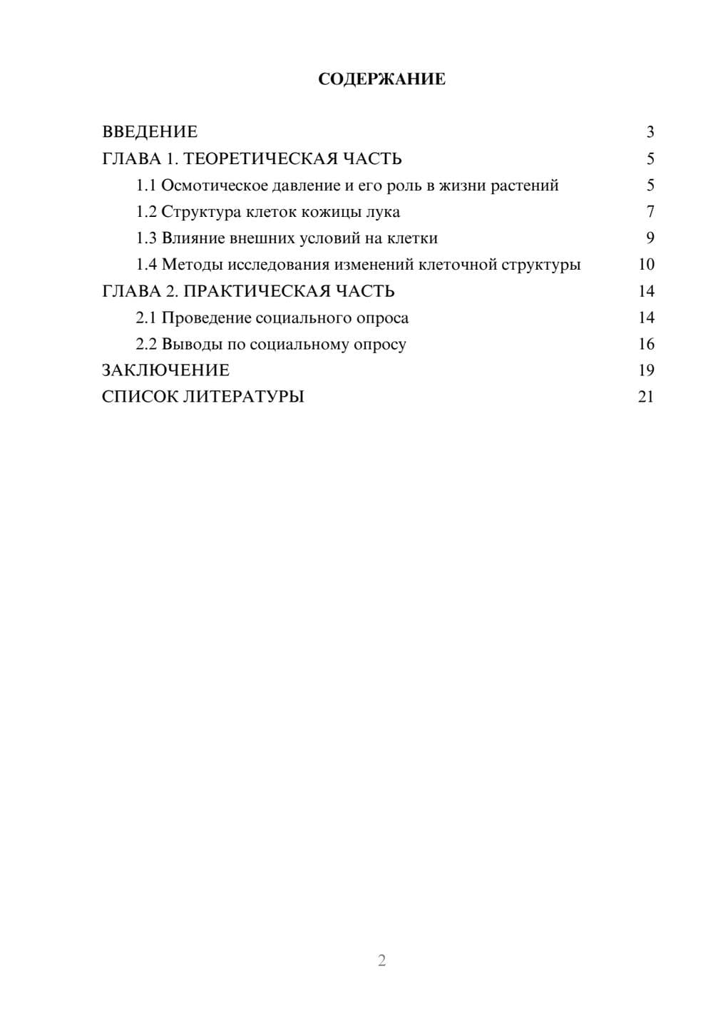 Предпросмотр проекта 2