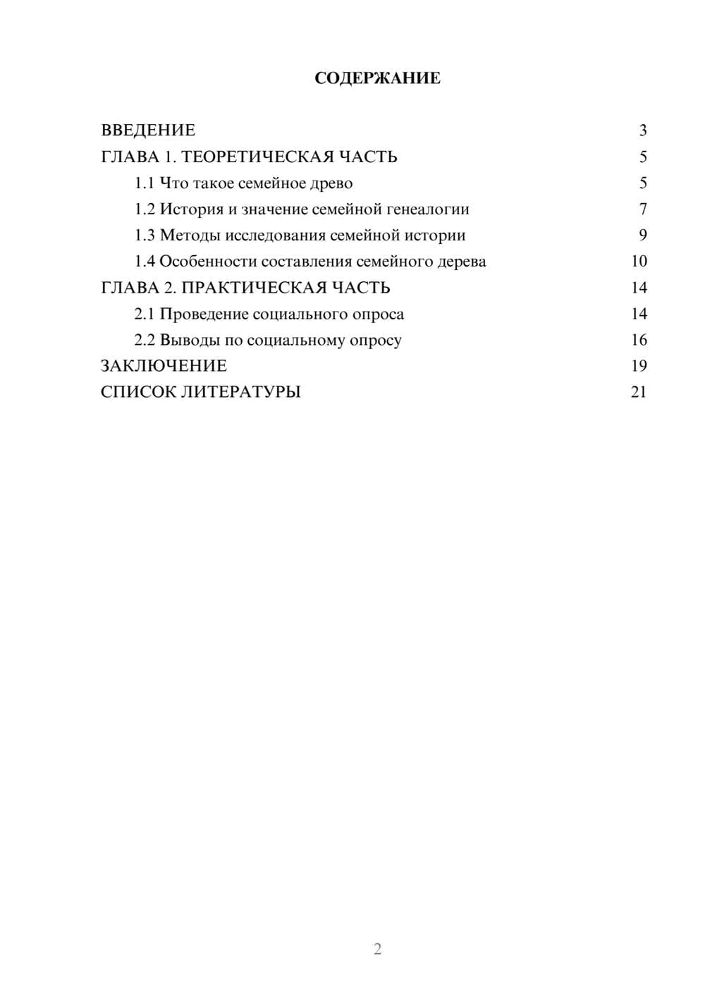 Предпросмотр проекта 2