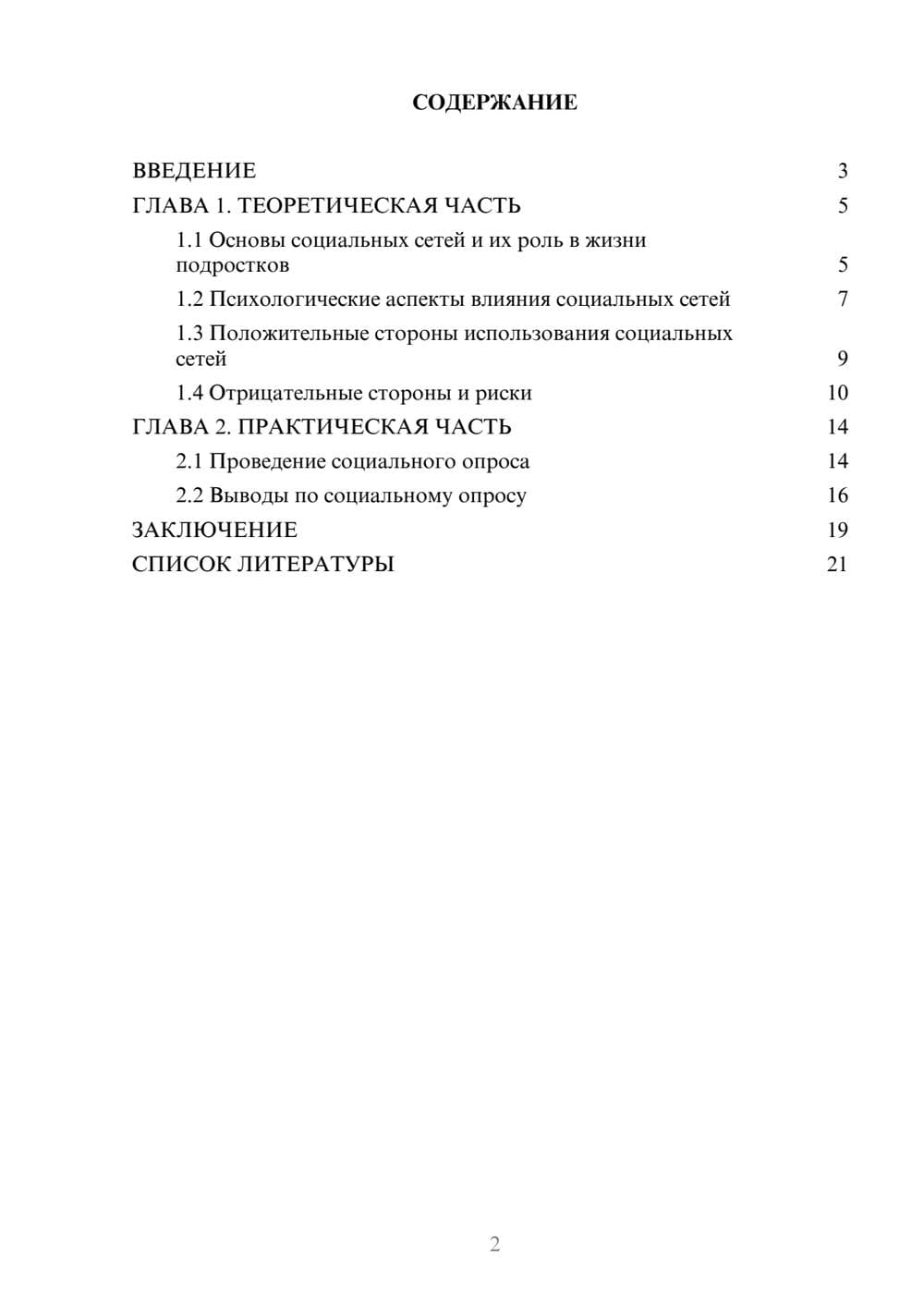 Предпросмотр проекта 2