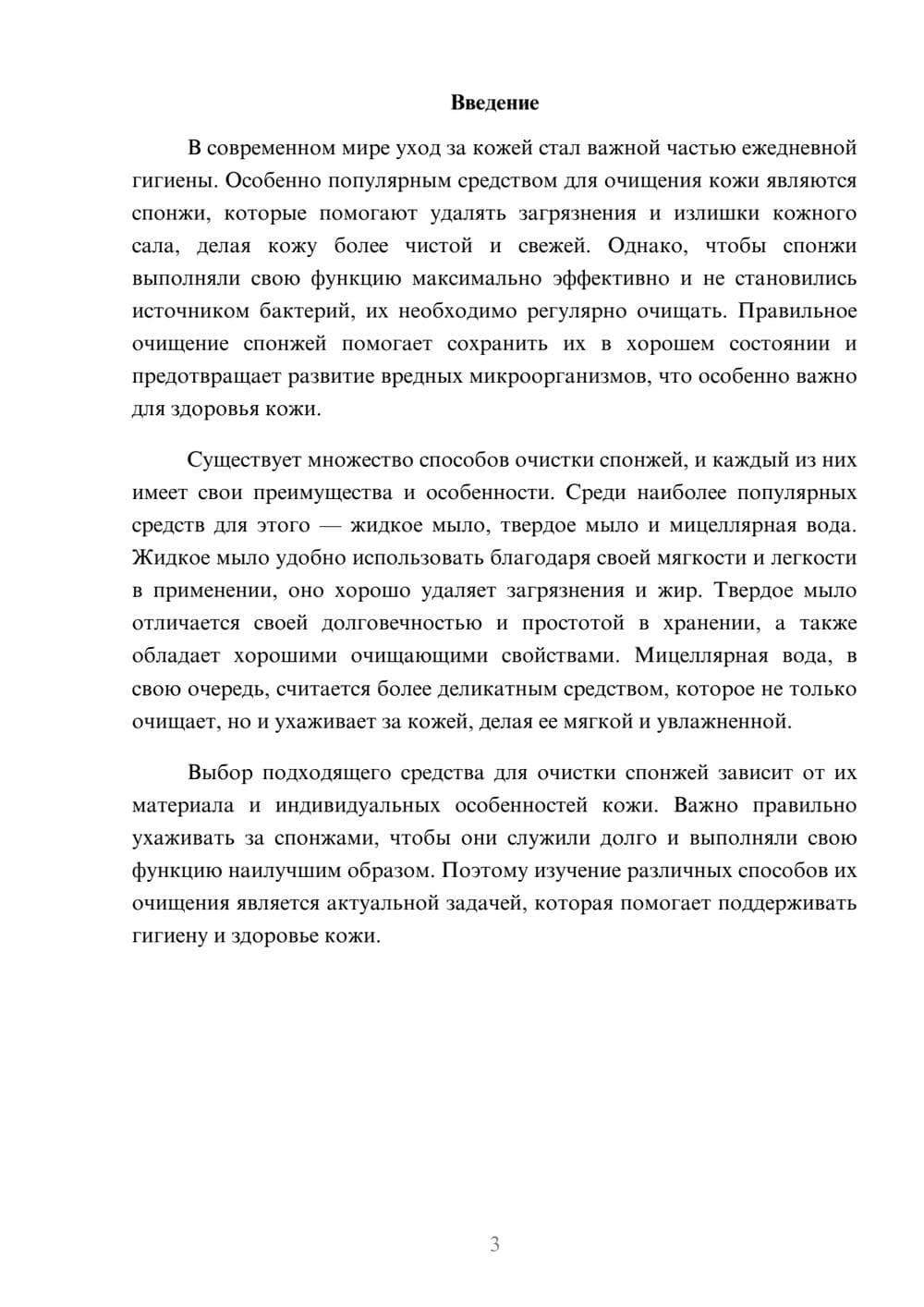 Предпросмотр доклада 3