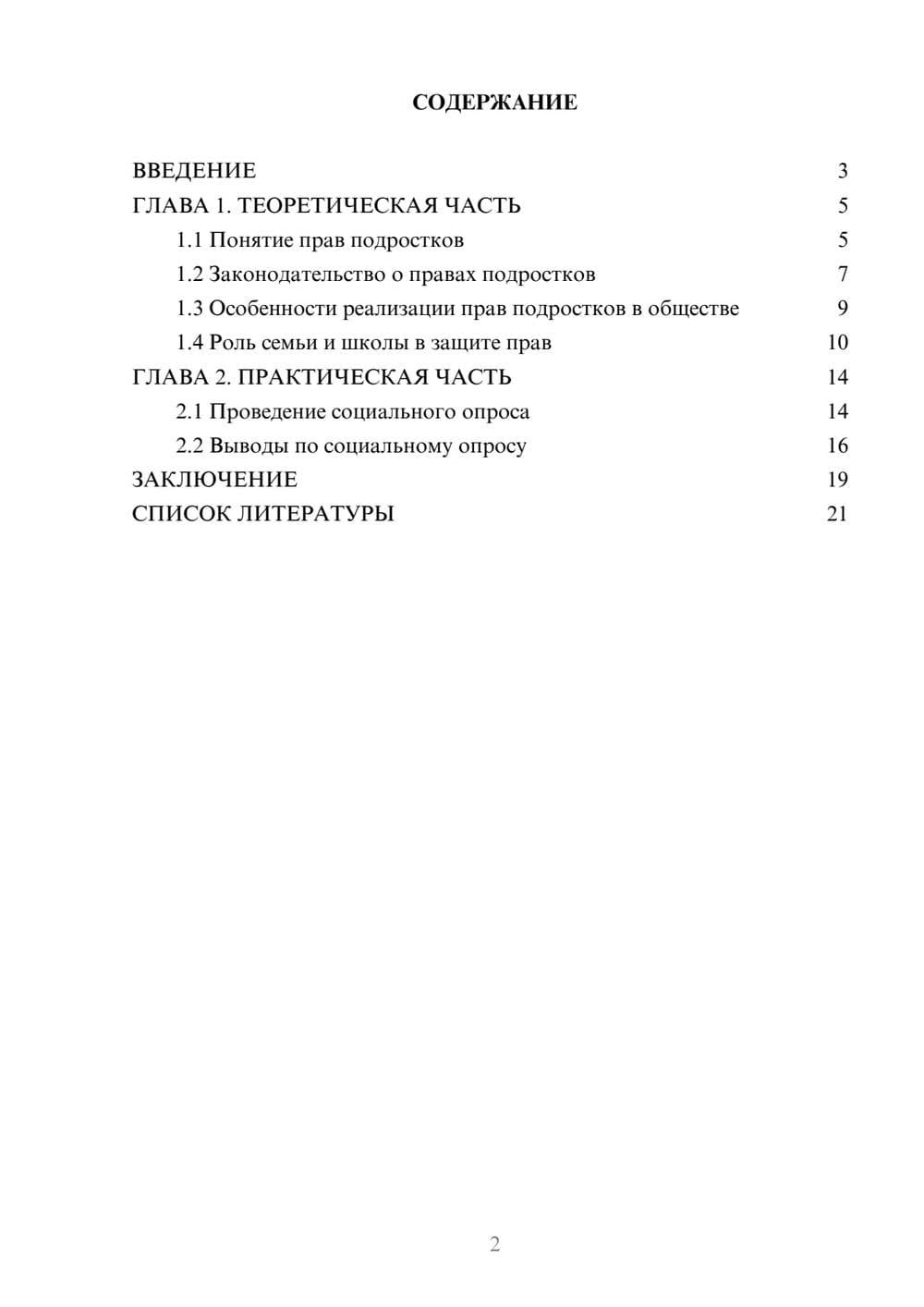 Предпросмотр проекта 2