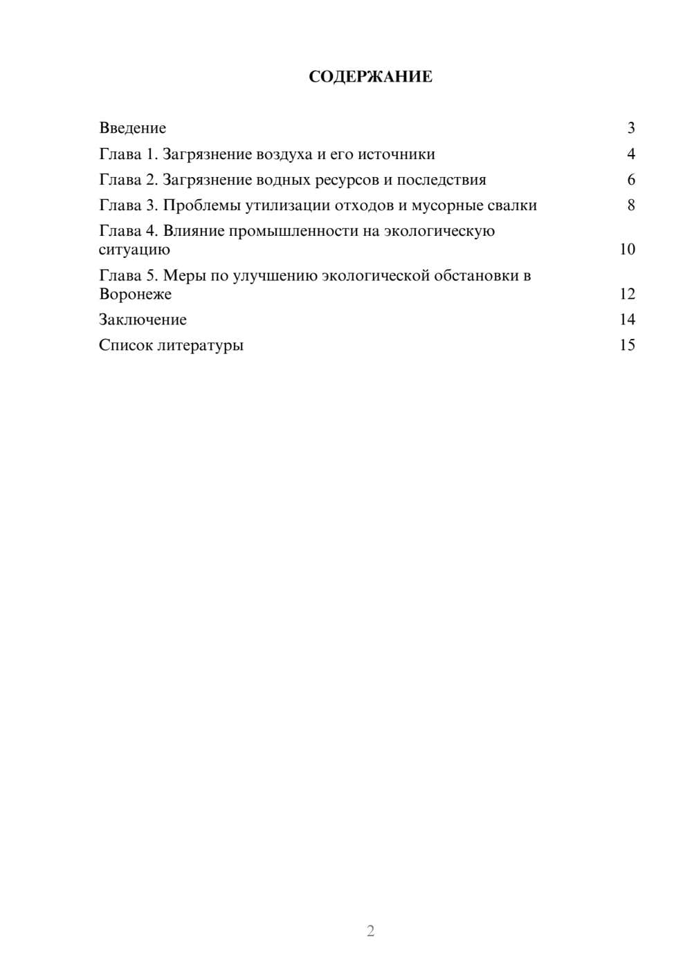 Предпросмотр доклада 2