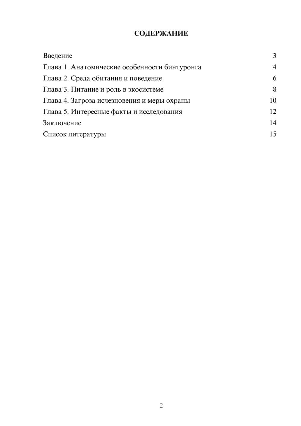 Предпросмотр доклада 2