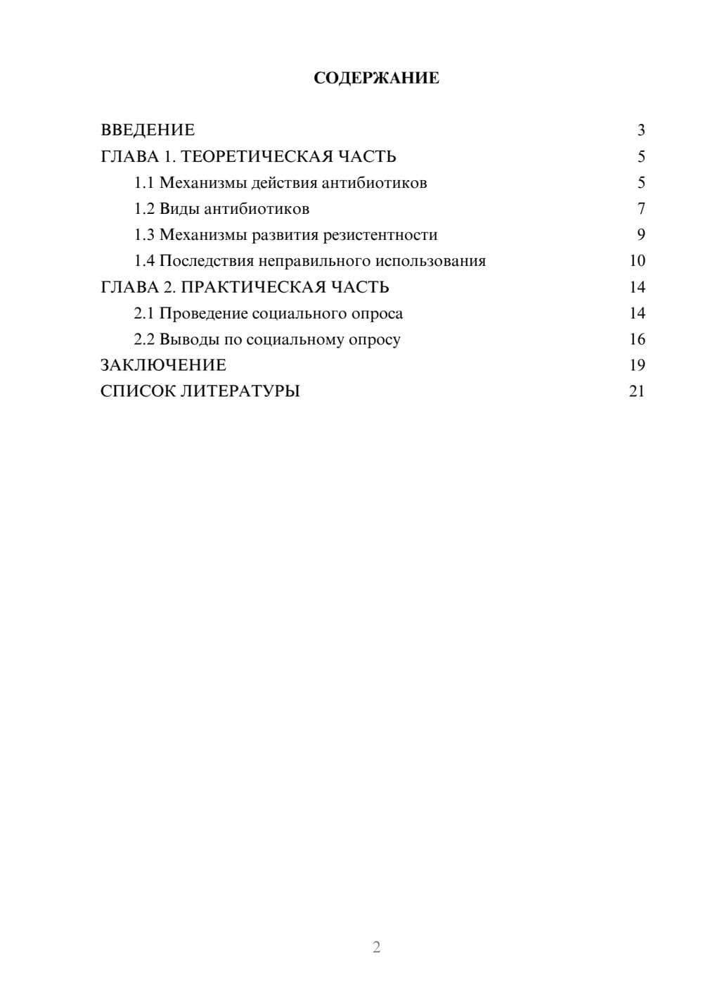 Предпросмотр проекта 2