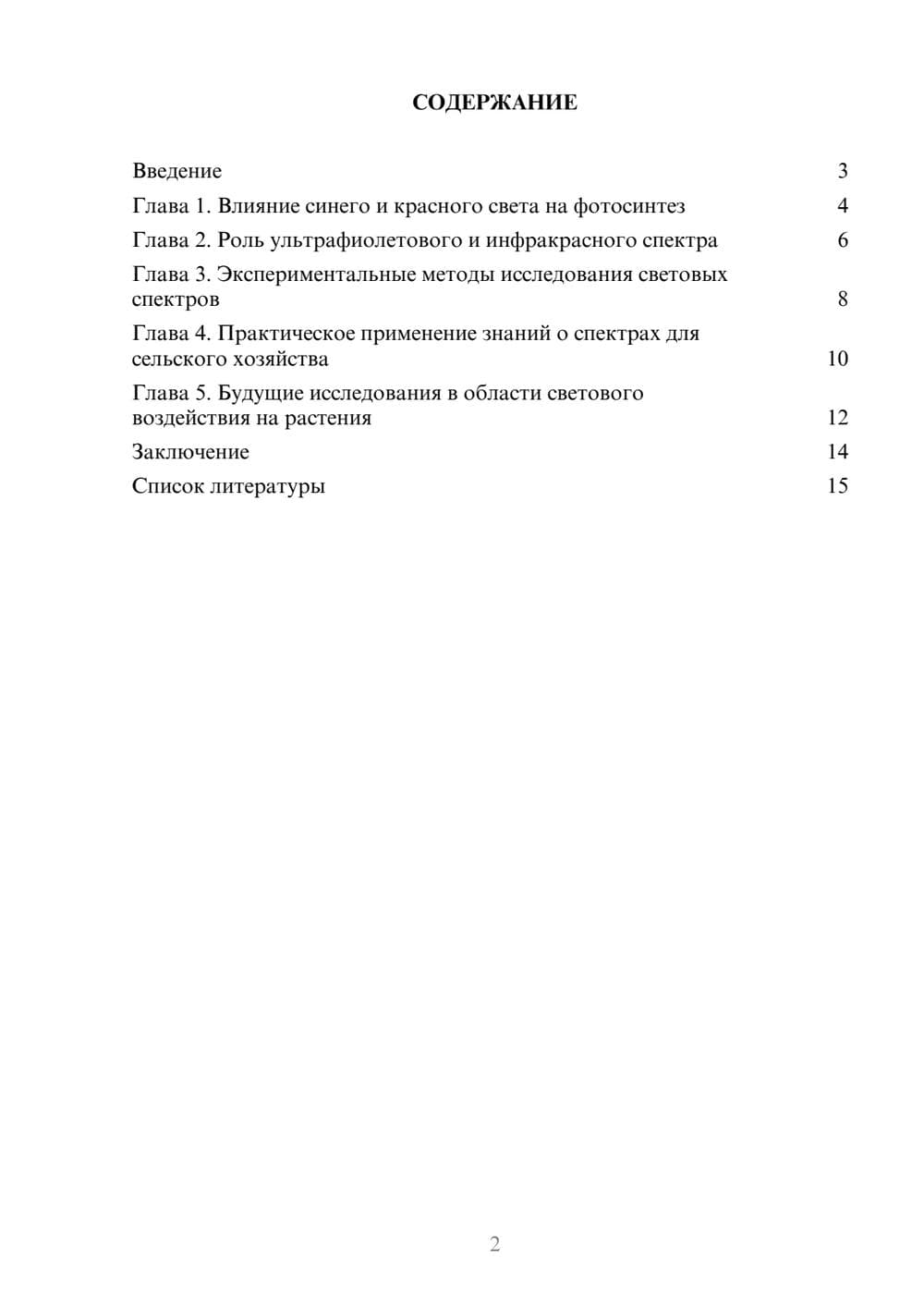 Предпросмотр доклада 2
