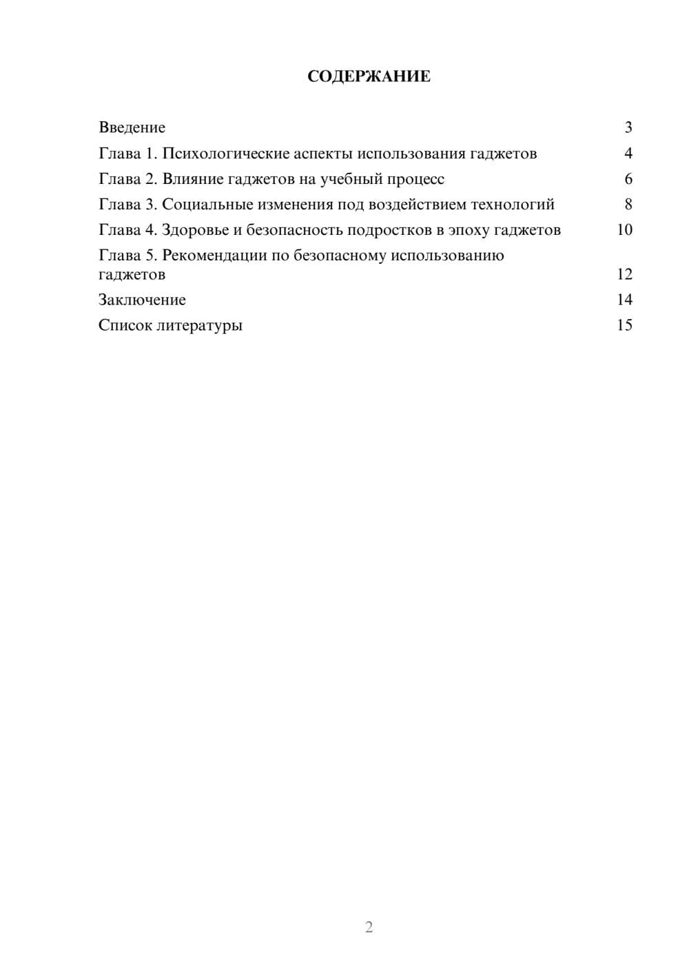 Предпросмотр доклада 2
