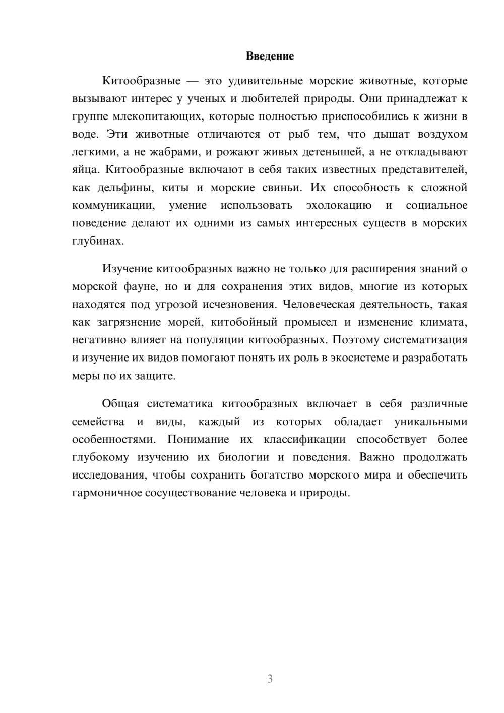 Предпросмотр доклада 3